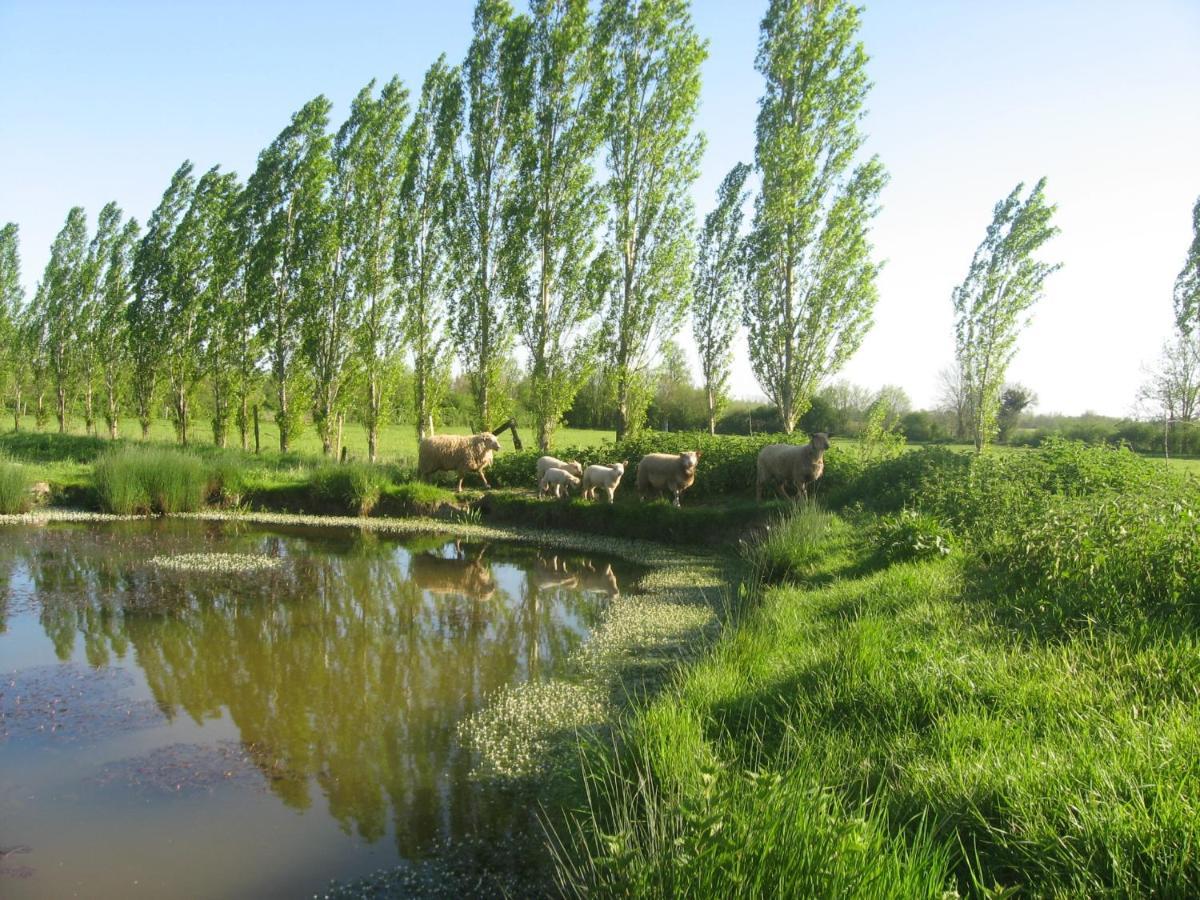 La Ferme De Magnantru Bed & Breakfast Perigne Bagian luar foto